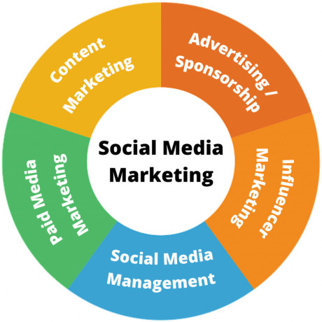 social-media-marketing-agency-in-noida-madzenia-big-0