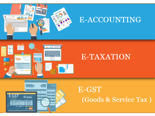 E-Accounting Course in Delhi, 110061, SAP FICO Course in Noida । BAT Course by SLA Accounting Institute, Taxation and Tally Prime