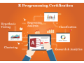 r-program-training-course-in-delhi-r-program-training-in-noida-100-job-sla-analytics-get-accenture-certification-small-0