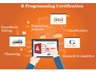 R Program Training Course in Delhi, R Program Training in Noida, 100% Job - SLA Analytics, get Accenture Certification,