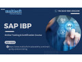 sap-ibp-online-training-certification-course-small-0