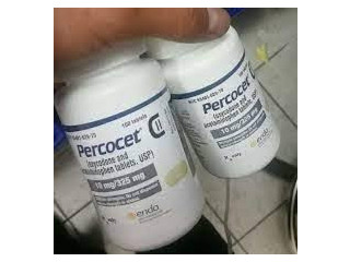 Buy Percocet Online Core Strengthening Exercises For Lower Back Pain