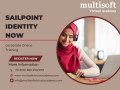 sailpoint-identity-now-corporate-online-training-small-0